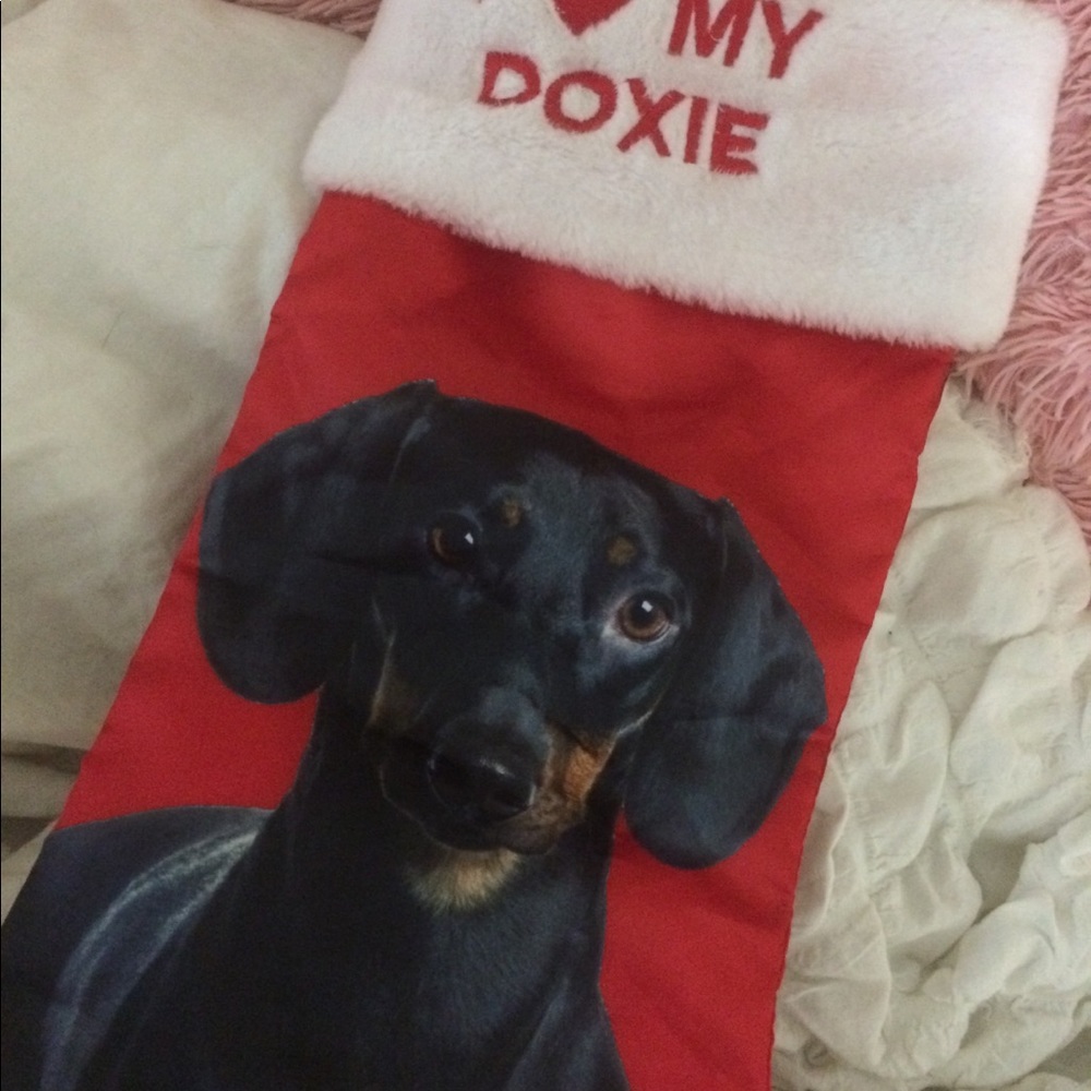 I ❤️ My Doxie Doggy 🐶 Stocking!!